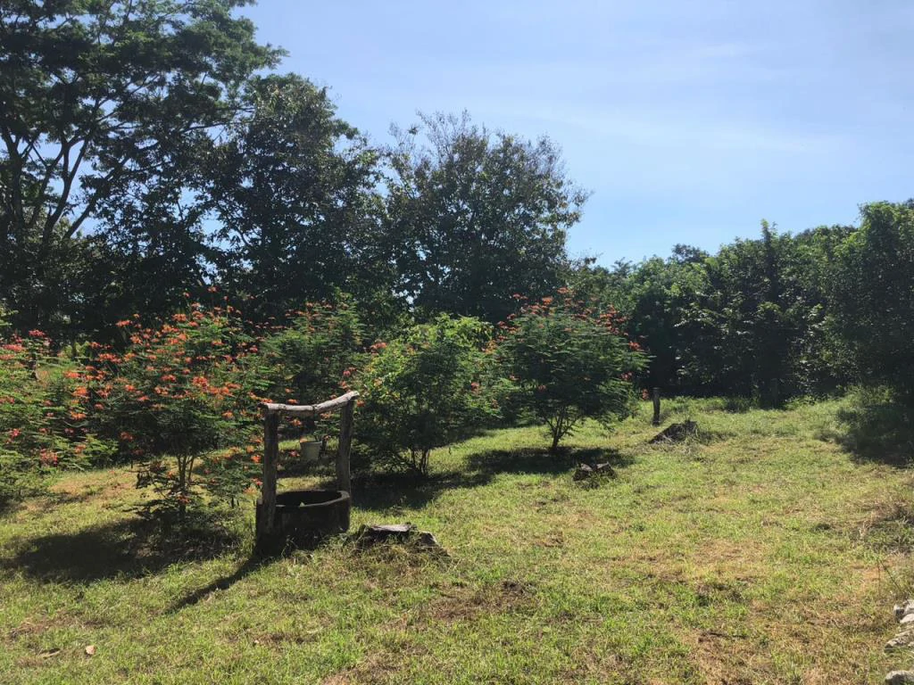 Huge dream Cattle farm for sale with 2 houses close to the Gulf of Nicoya, Guanacaste, Costa Rica - Gallery image 24