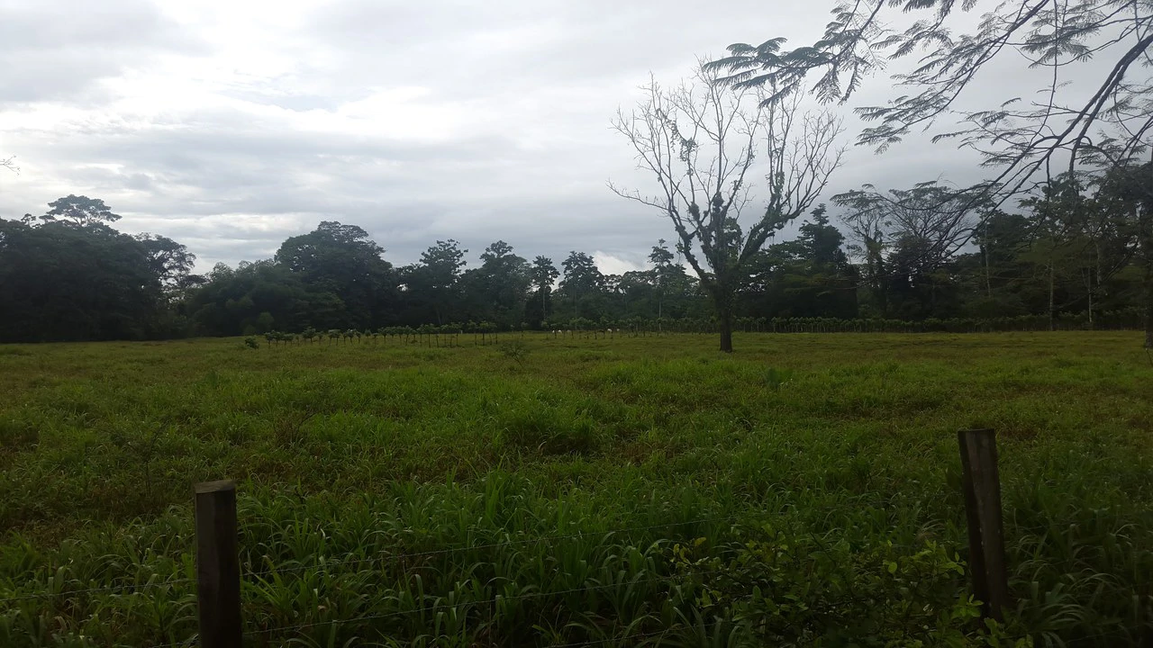 Countryside Development Parcel For Sale in Cariari - Gallery image 3