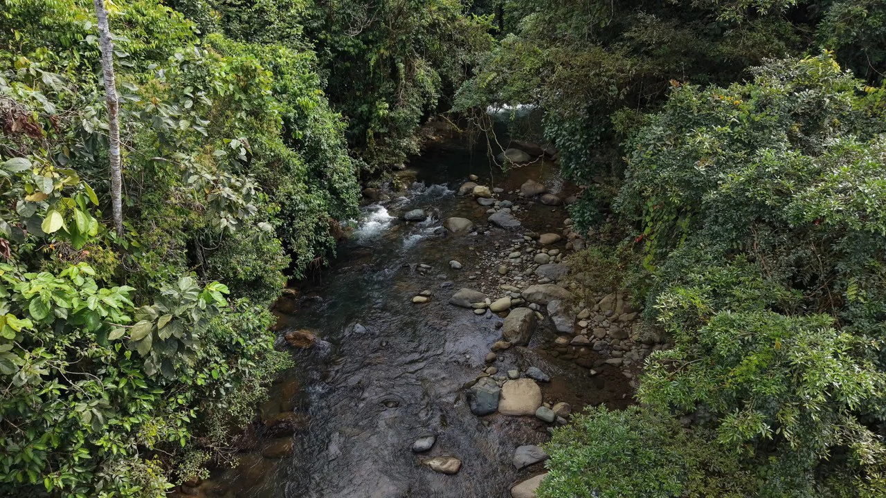 Mountain Home Construction Site For Sale in Santa Elena - photo 2