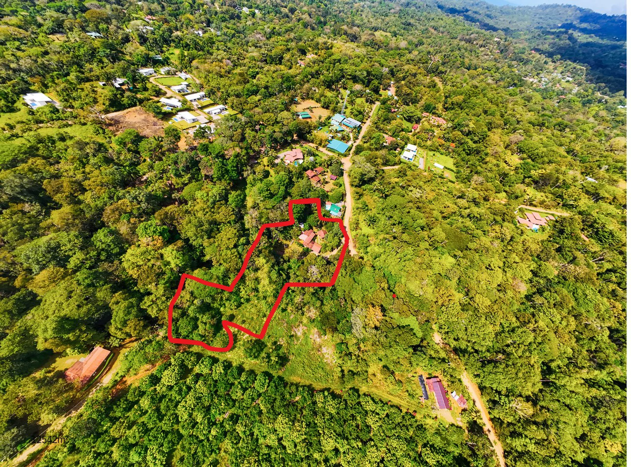 Serene Jungle Home + Guest Cabin on 3 Acres and River - Gallery image 2