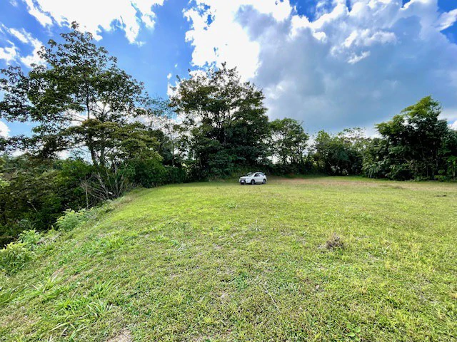 LG-002 Terreno Top Nuevo Arenal: Premium 1.45-Acre Gated Homesite in Nuevo Arenal | Panoramic Lake & Volcano Views, Private Boat Dock & Clubhouse - Gallery image 10