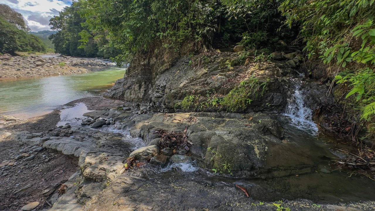 60+ Hectares in Platanillo | Own Your Own Mountain in Costa Rica - Gallery image 45