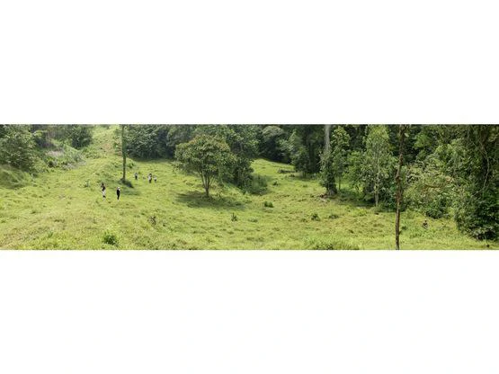 Serene Jungle Farm in Limon Province - Gallery image 66