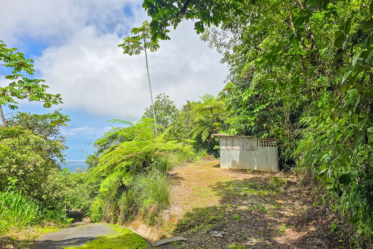 Near the Coast Home Construction Site For Sale in Ciudad Cortés - Gallery image 13