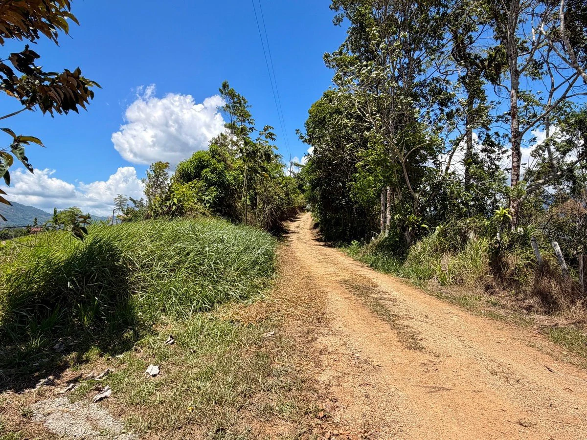 8.77 ACRES – Private Land Just 20 Min to Dominical, Beautiful Mountain Views, Legal Water, Electricity, Public Road, Private Setting, Ready to Build!!!! - Gallery image 12