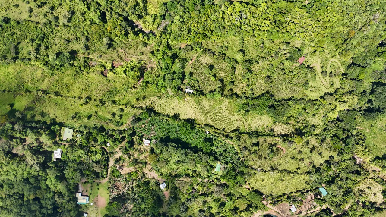 FINCA EN MIRAFLORES: Mountain Agricultural Land For Sale in El General - Gallery image 3