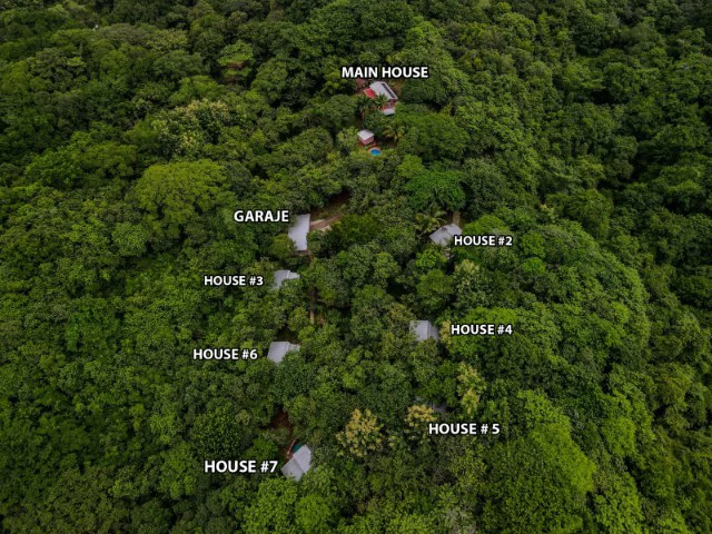 Nosara's Brand New Top Villas as a Business Opportunity in the dense forest of catchment area, 7 villas for sale in Costa Rica's Healthy Blue Zone - Gallery image 28