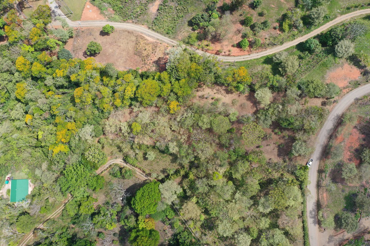 Elevated Two and a Half Acres with Cool Breeze in San Isidro del General - Gallery image 11