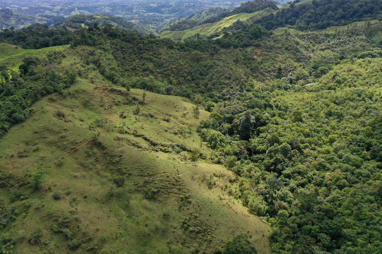 47 Acre Off Grid Ranch with Ocean & Mountain Views San Lorenzo Perez Zeledón - Gallery image 14