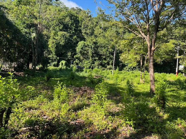 Rare Titled Beachfront Lot in Playa Tambor - Gallery image 5
