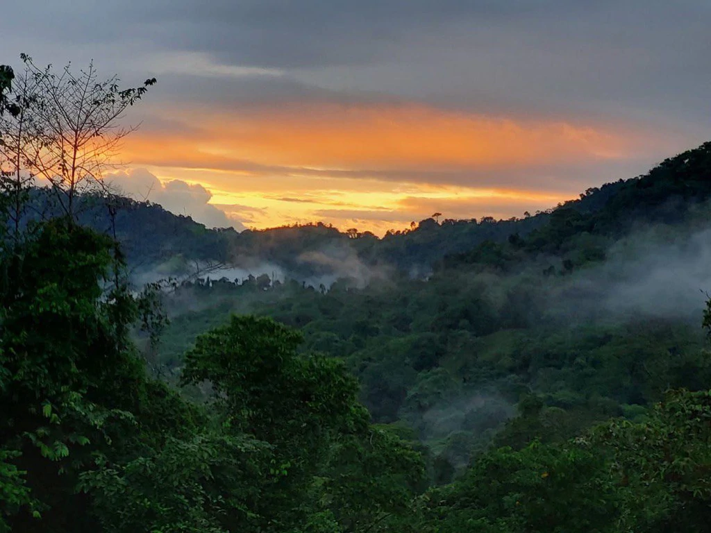 SECLUDED PARADISE WITH STUNNING VIEWS, WATERFALLS & ABUNDANT WILDLIFE
