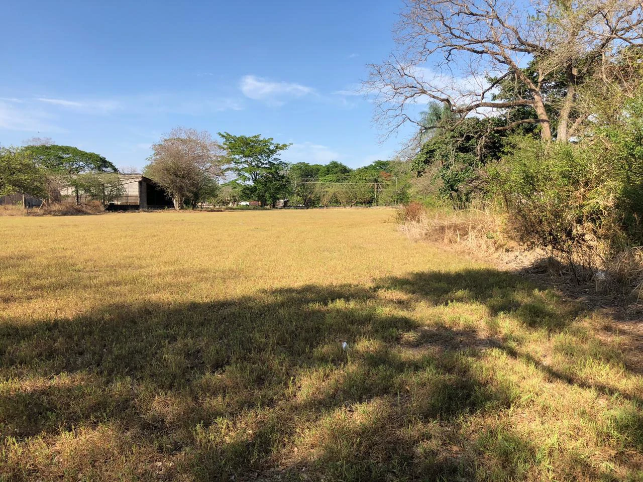 Large property with warehouses in Filadelfia, Carrillo - Gallery image 10