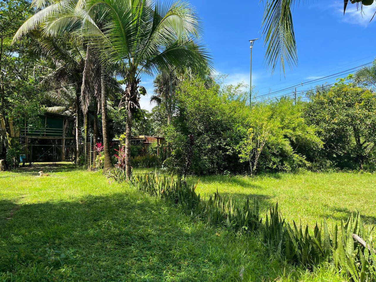 Perla Tropical Rio Seco: Great Opportunity for Sale with reduced price - Gallery image 20