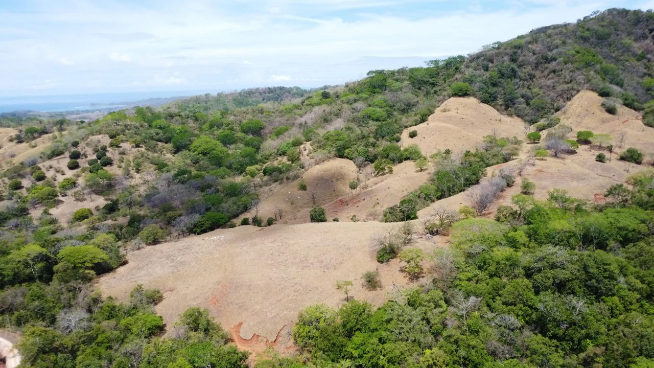 37-Hectare Ocean View Development Property Near Sámara, Buena Vista & Barrigona - photo 14
