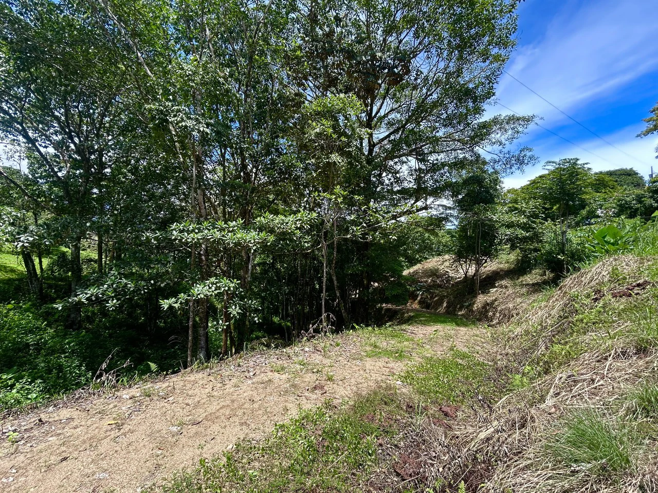 Build-Ready Lot in Ojochal’s Calle Cacique | Easy Access & Stunning Mountain Views - Gallery image 24