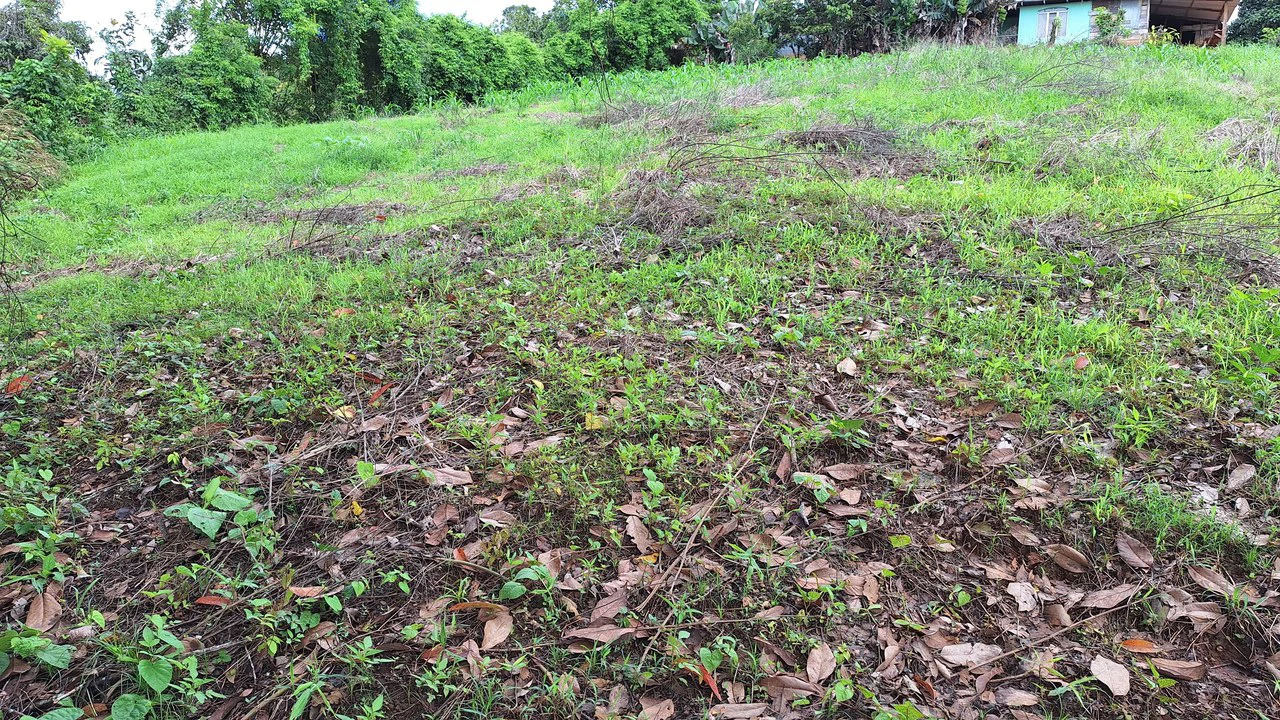 Spacious Lot For Sale In The Heart Of Pejibaye — Private Spring & Mountain Views - Gallery image 10