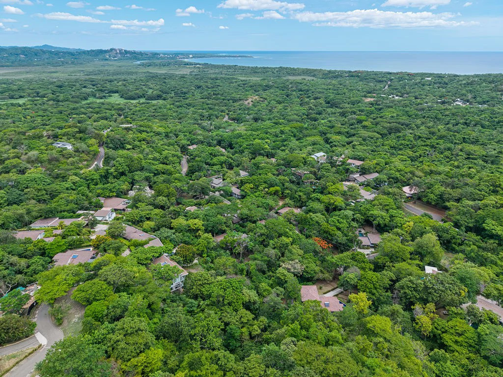 Lot 24 Cara Cara: Exceptional Forest Homesite in Las Ventanas de Playa Grande - Gallery image 9