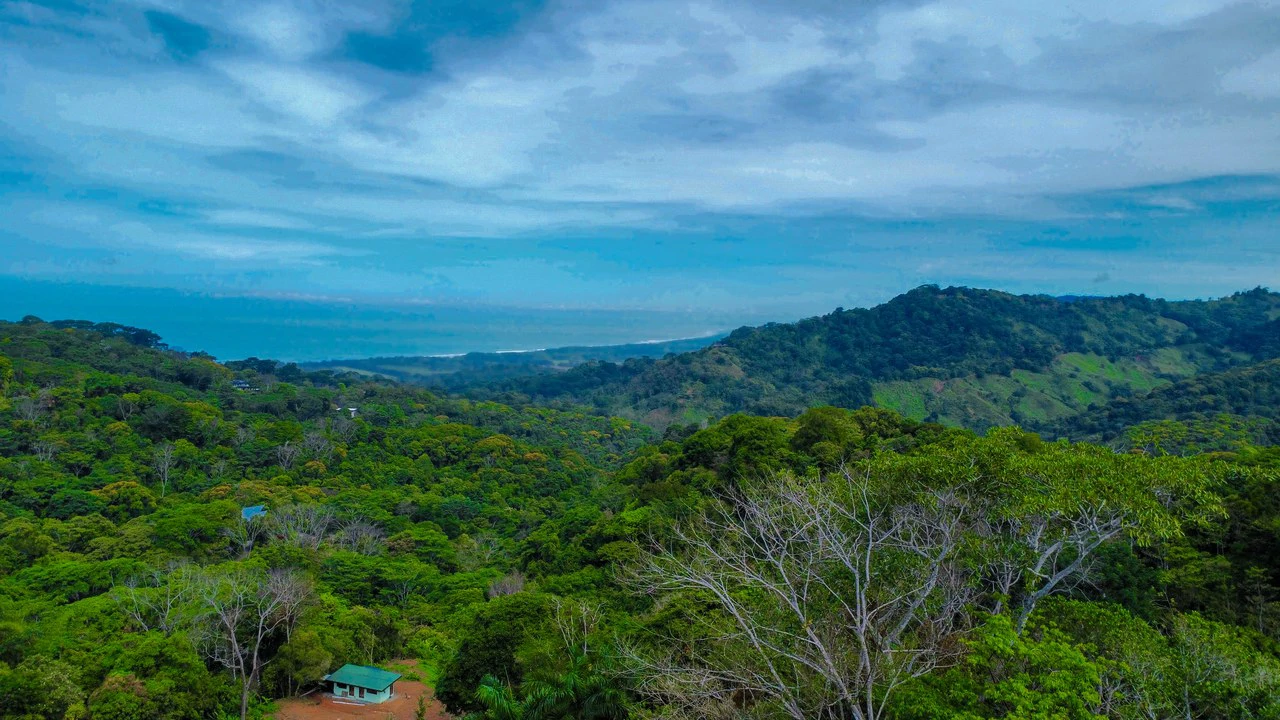 3.6 Acre Ocean View, Near the Beach & Cool Mountain Elevation: Mountain Home Construction Site For Sale in Lagunas - Gallery image 12