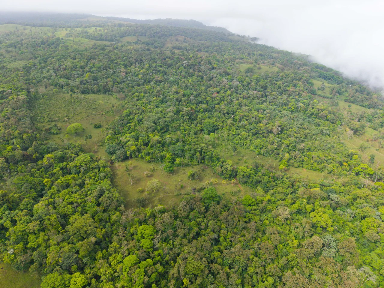 Finca Las Zompopas-Río Celeste: 113-Acre Biodiverse Property in Bijagua, Ideal for Eco-Tourism, Private Retreats, or Sustainable Development - Gallery image 35