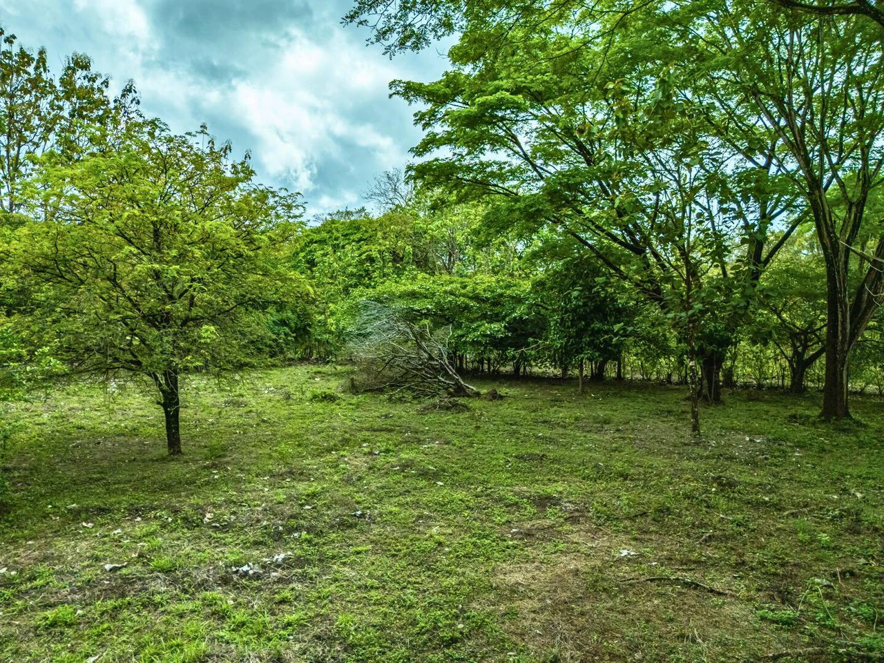 Marbella Dream Lot: 2.4 Acres of Natural Beauty Near the Beach - Gallery image 6