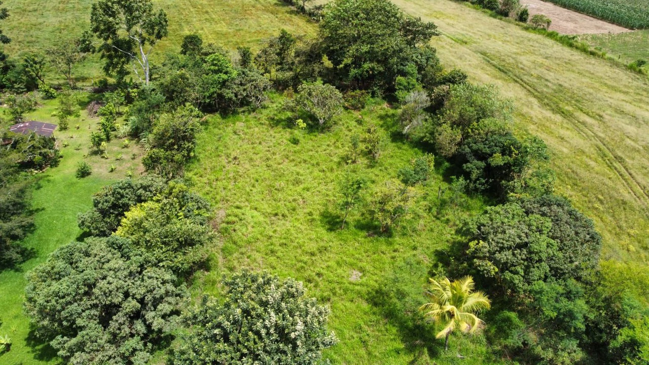 Se vende propiedad en el Rosario Pacuar, Pérez Zeledón.: Countryside Home Construction Site For Sale in Daniel Flores - Gallery image 14