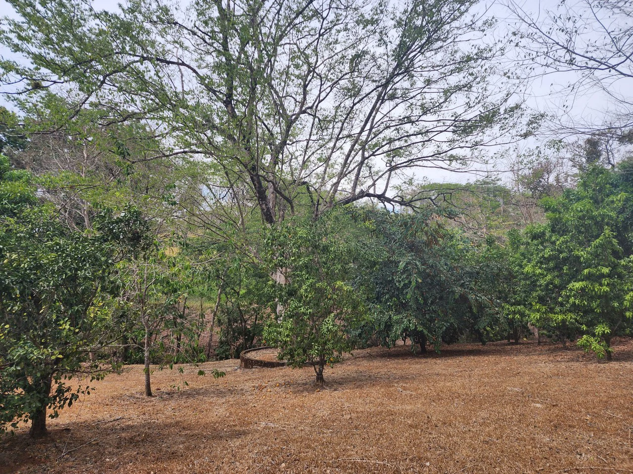 Countryside and Mountain Home Construction Site For Sale in San Juan de Mata - Gallery image 10