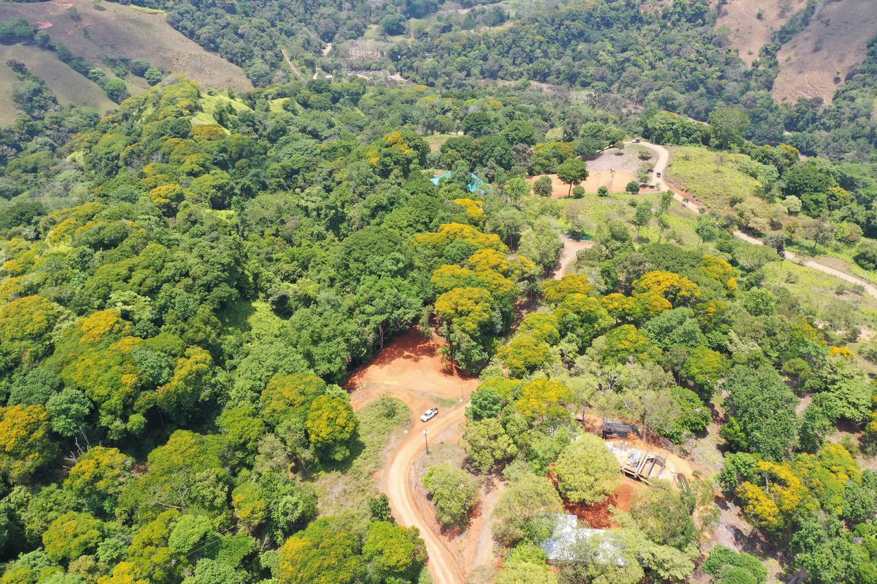 2.5 Acre Jungle and Valley View Home site in Dominical - Gallery image 12