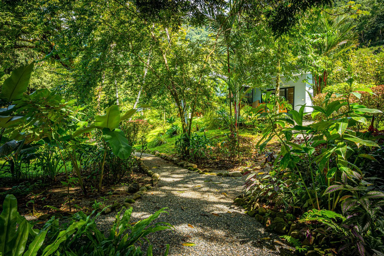 Estate Property in Escaleras, Multi-Use, Residential/HOTEL/Commercial - Gallery image 54