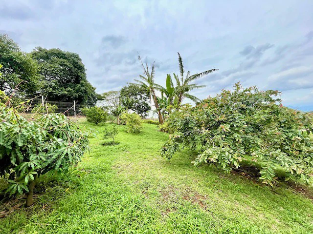 CA-005 Casa del Invernadero: Premium 3-BR / 3.5-BA Gated Estate in Grecia | Turnkey Furnished Option, Private Greenhouse, Clay Roof & River Access - Gallery image 55