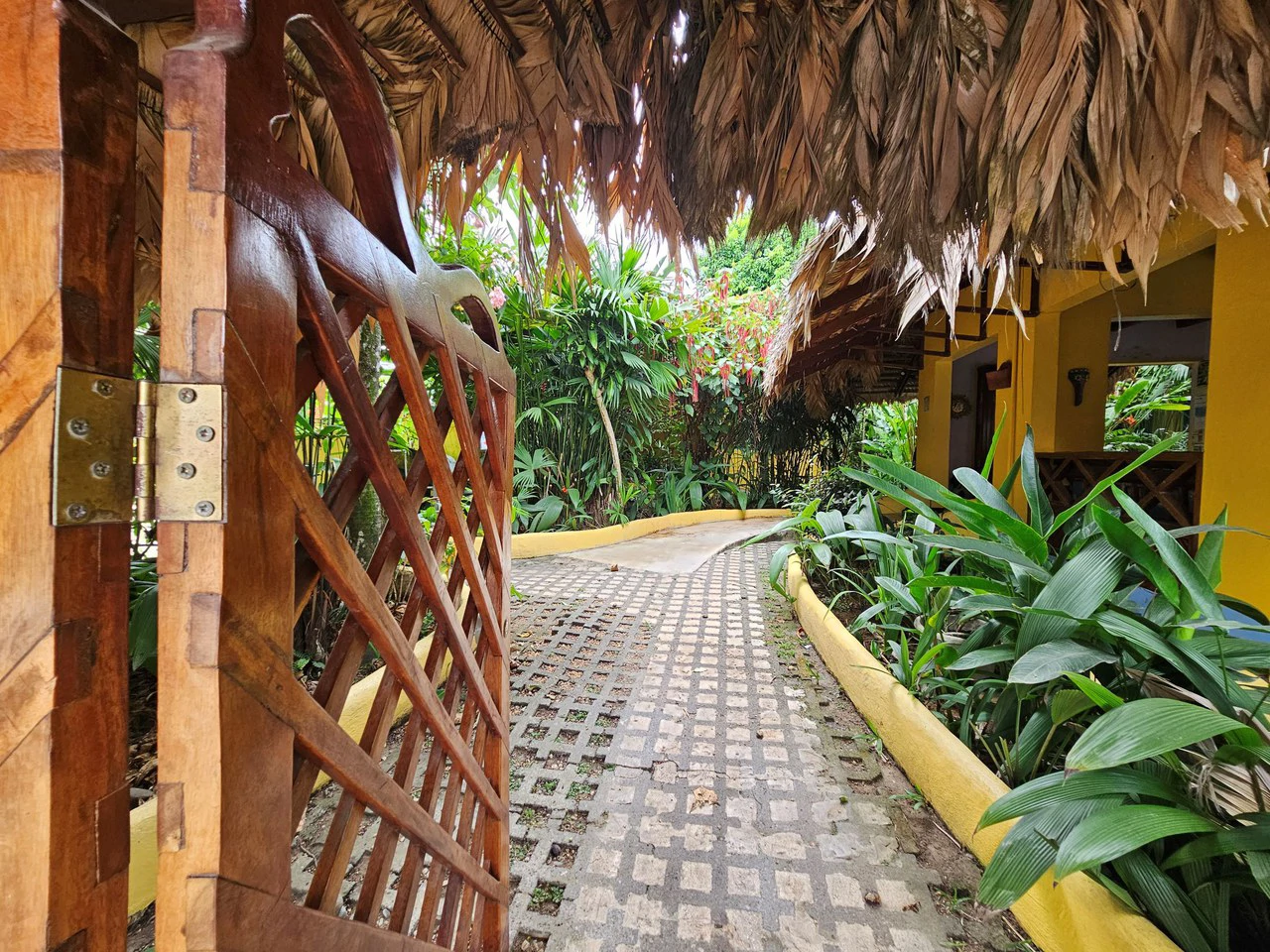 Established Caribbean Hotel: in the Heart of Puerto Viejo’s Vibrant Downtown Tourist Hub - Gallery image 15