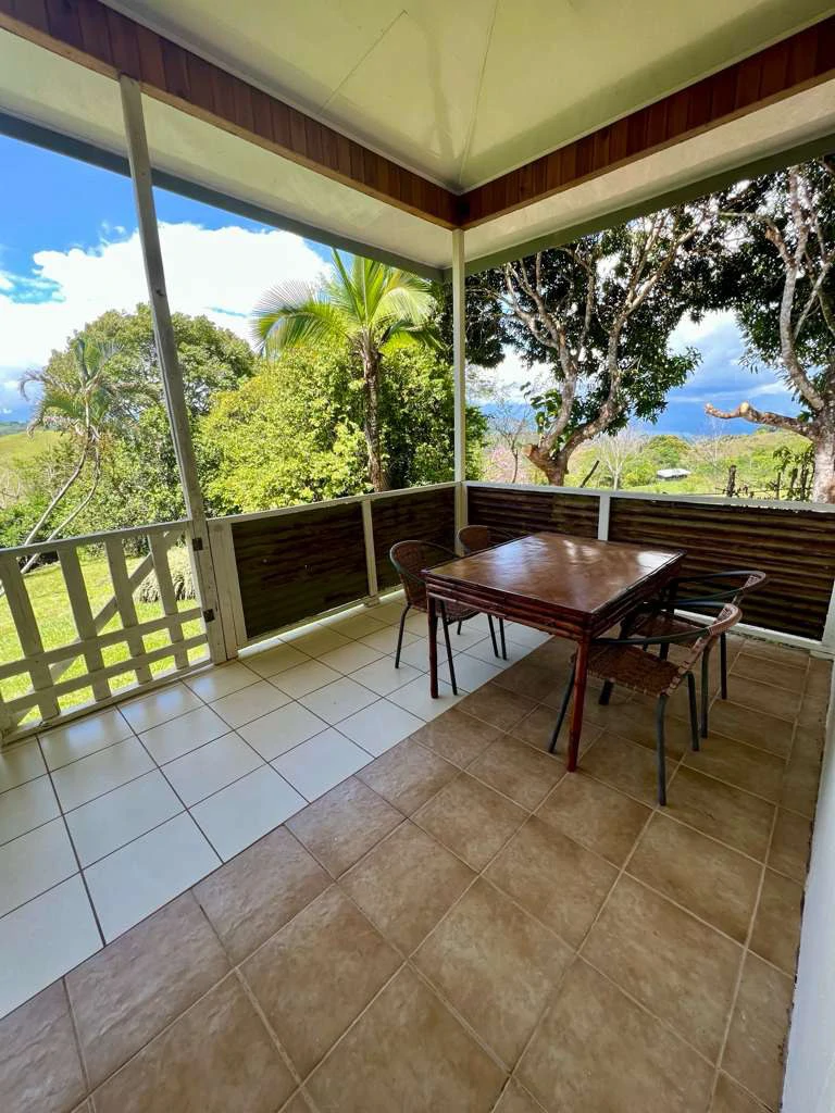 Tropical Organic Fruit Farm with 2 Bedroom Home - Gallery image 6