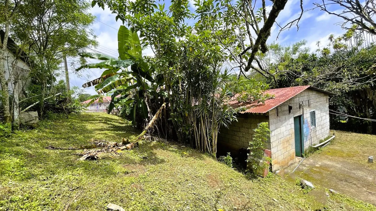 INVESTMENT: HOUSE & LARGE LOT IN SAN ISIDRO, SAN RAMON: House For Sale in San Ramón - Gallery image 13