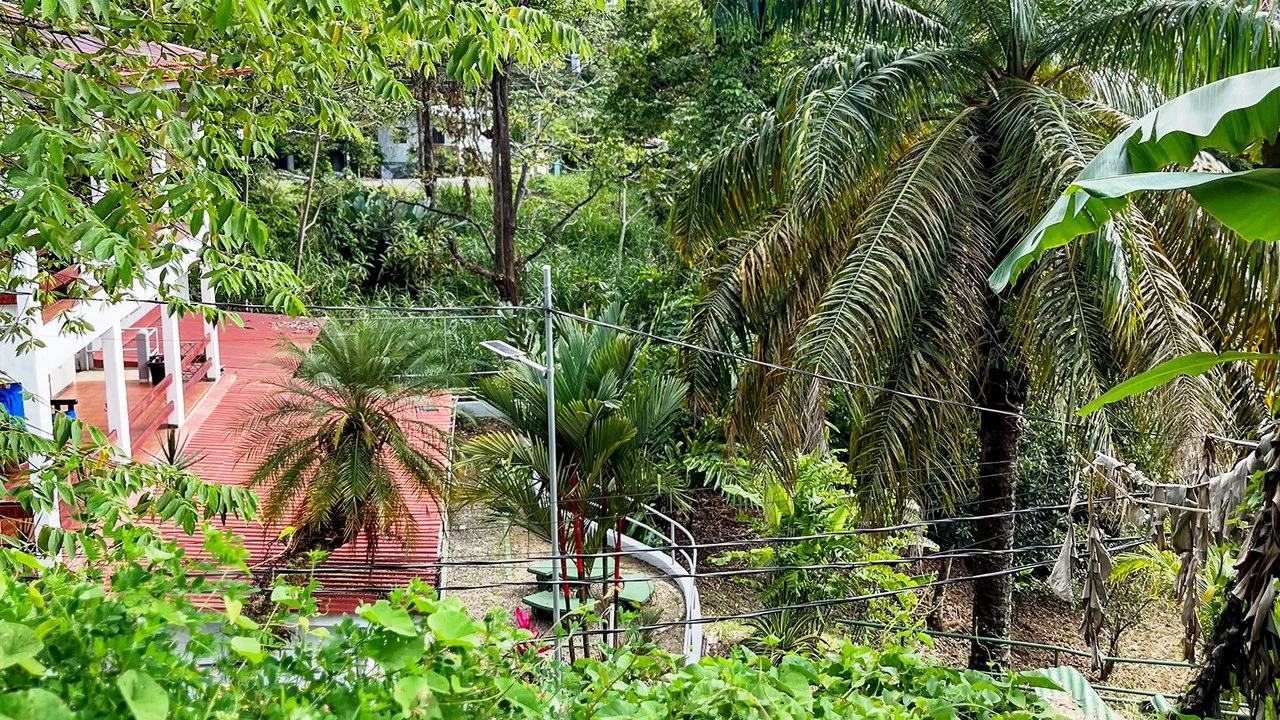 Build Ready Lot in the Heart of Manuel Antonio - Gallery image 8