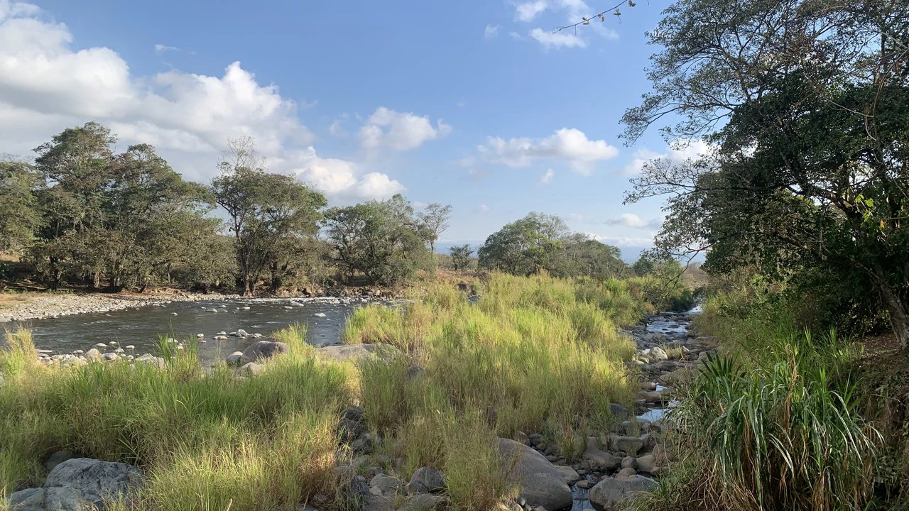 Talari Hotel: Nature and Bird Lover's Paradise - Mountain Lodge - Gallery image 26