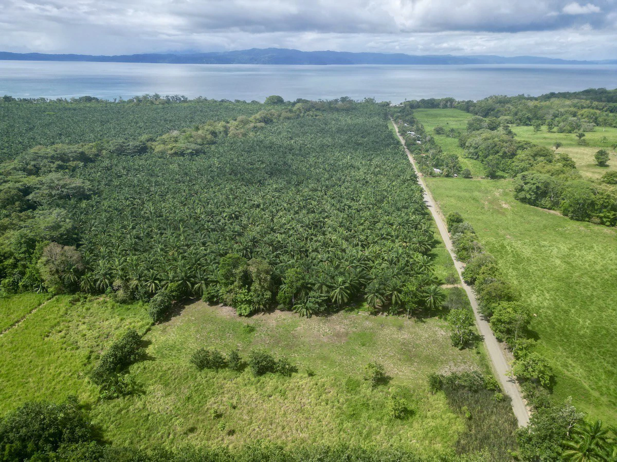 Titled Property Near The Golfo Dulce Coast