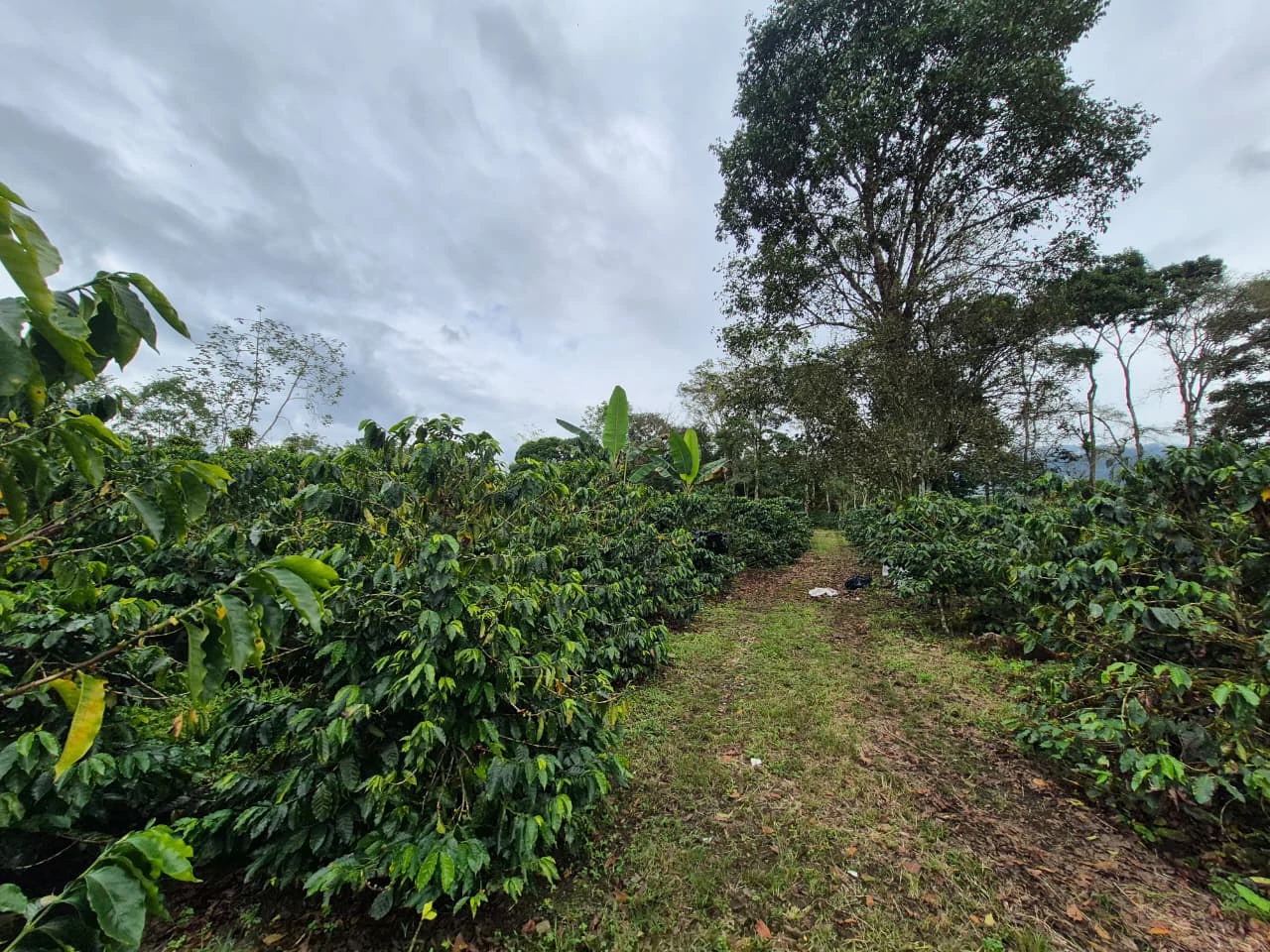 Countryside Home Construction Site For Sale in Santa Elena de San Isidro - Gallery image 9