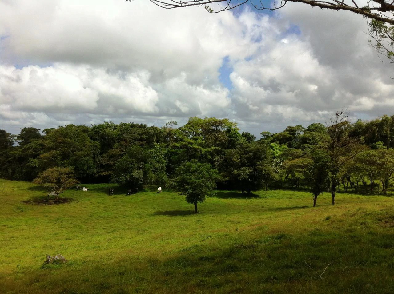 RINCON DEL PATO -  Hobby Farmers delight - Gallery image 2