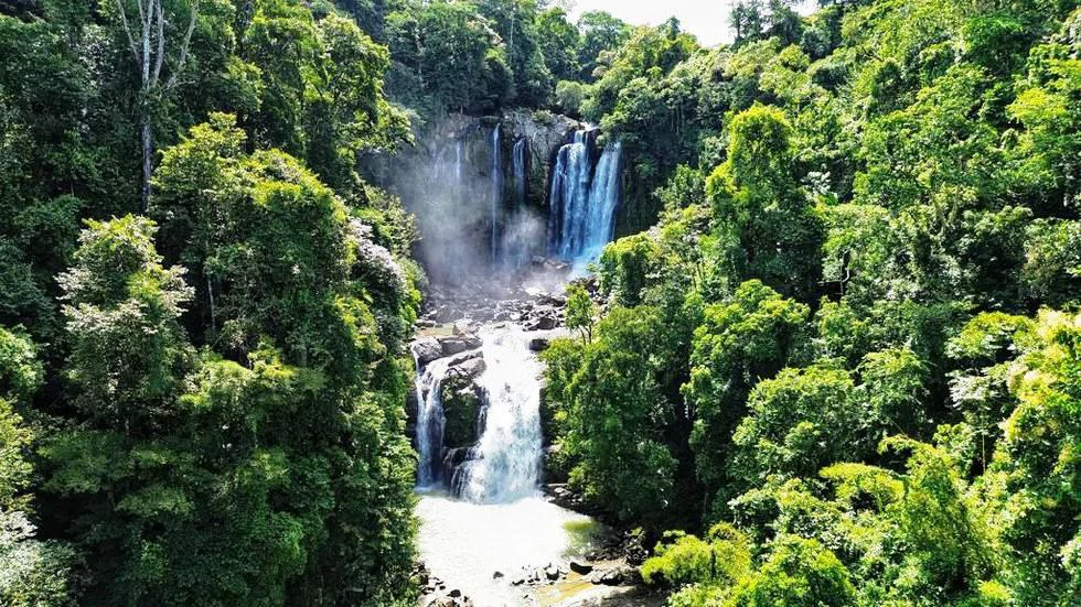 2.5 Acre Jungle and Valley View Home site in Dominical - Gallery image 9