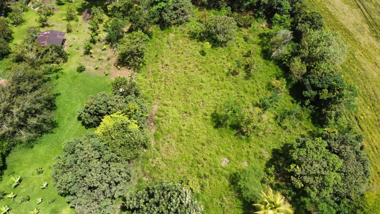 Se vende propiedad en el Rosario Pacuar, Pérez Zeledón.: Countryside Home Construction Site For Sale in Daniel Flores - Gallery image 12