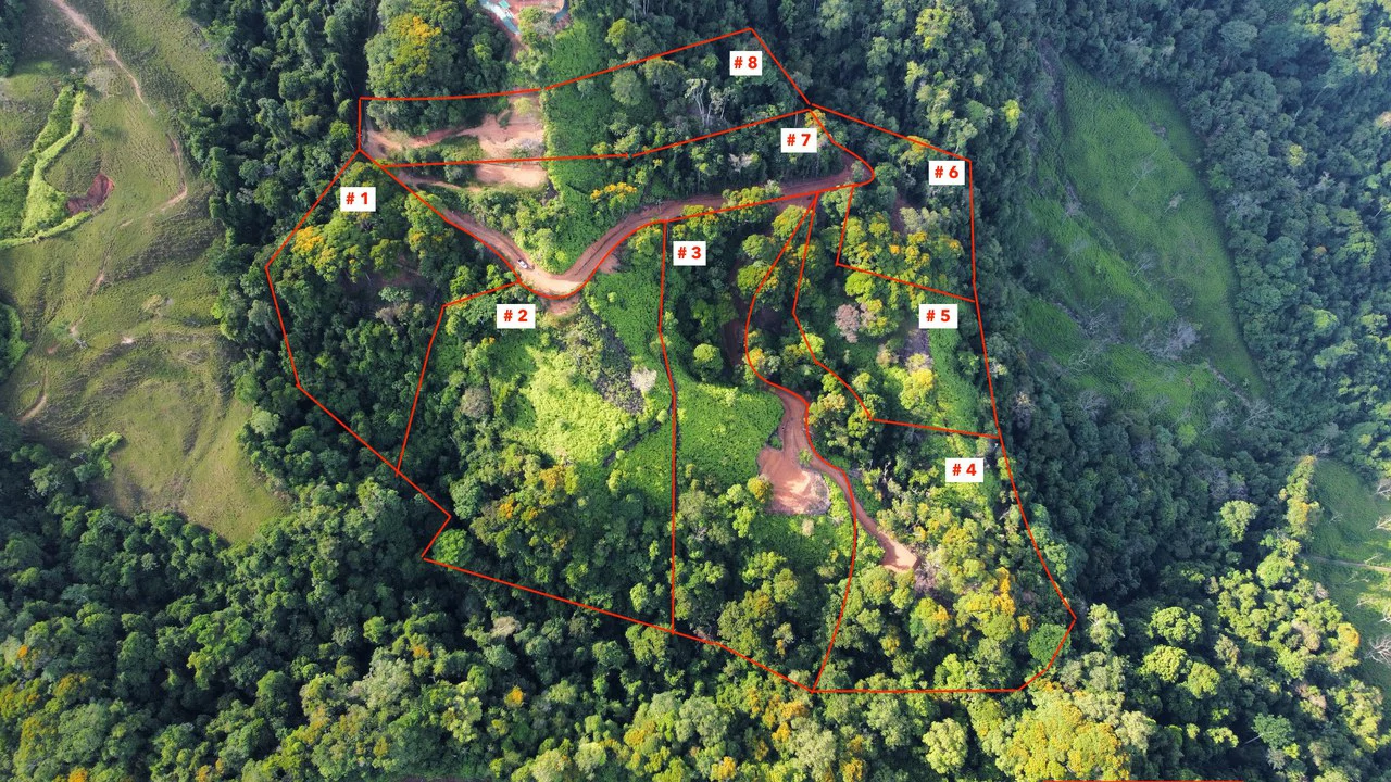 Los Nenes: Mountain Home Construction Site For Sale in Uvita