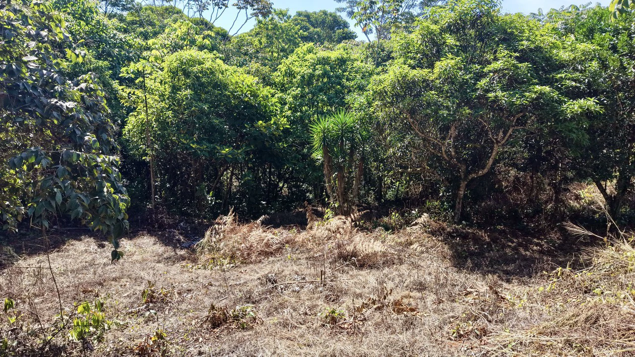 Home Construction Site For Sale in Pavones - Gallery image 28