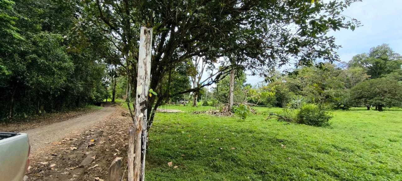 23 Acres of Paradise at Bahia Drake - Gallery image 28