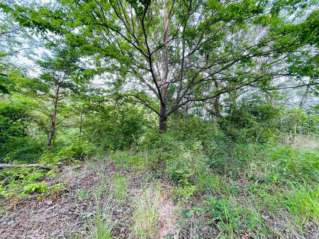 Ocean view lot for sale San Miguel beach Coyote Costa Rica - Gallery image 7