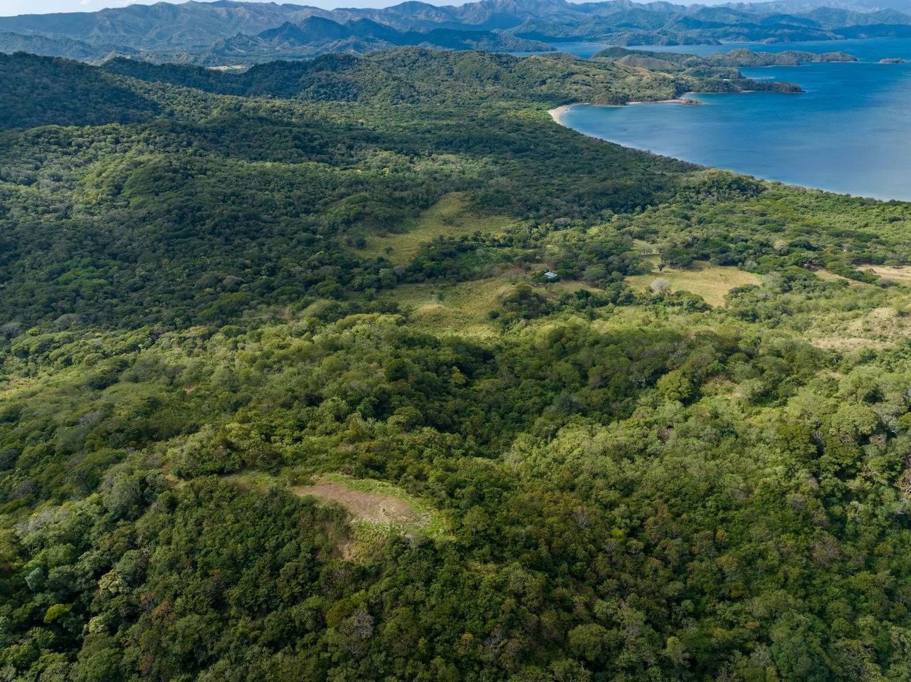 220 Acres Beachside Farm with Ocean View at Playa Junquillal in Guanacaste - Gallery image 29