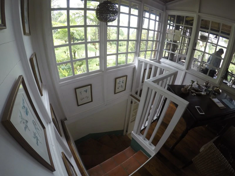 TROPICAL FOREST DREAM 15 min from downtown SJ - Gallery image 24
