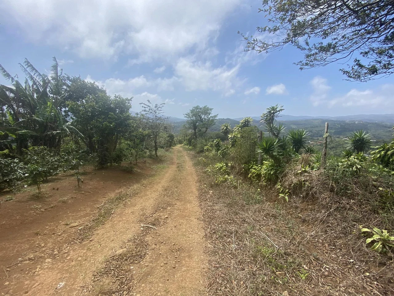 Farm with Exceptional Potential for Sale in San Ramón, Alajuela - Gallery image 3