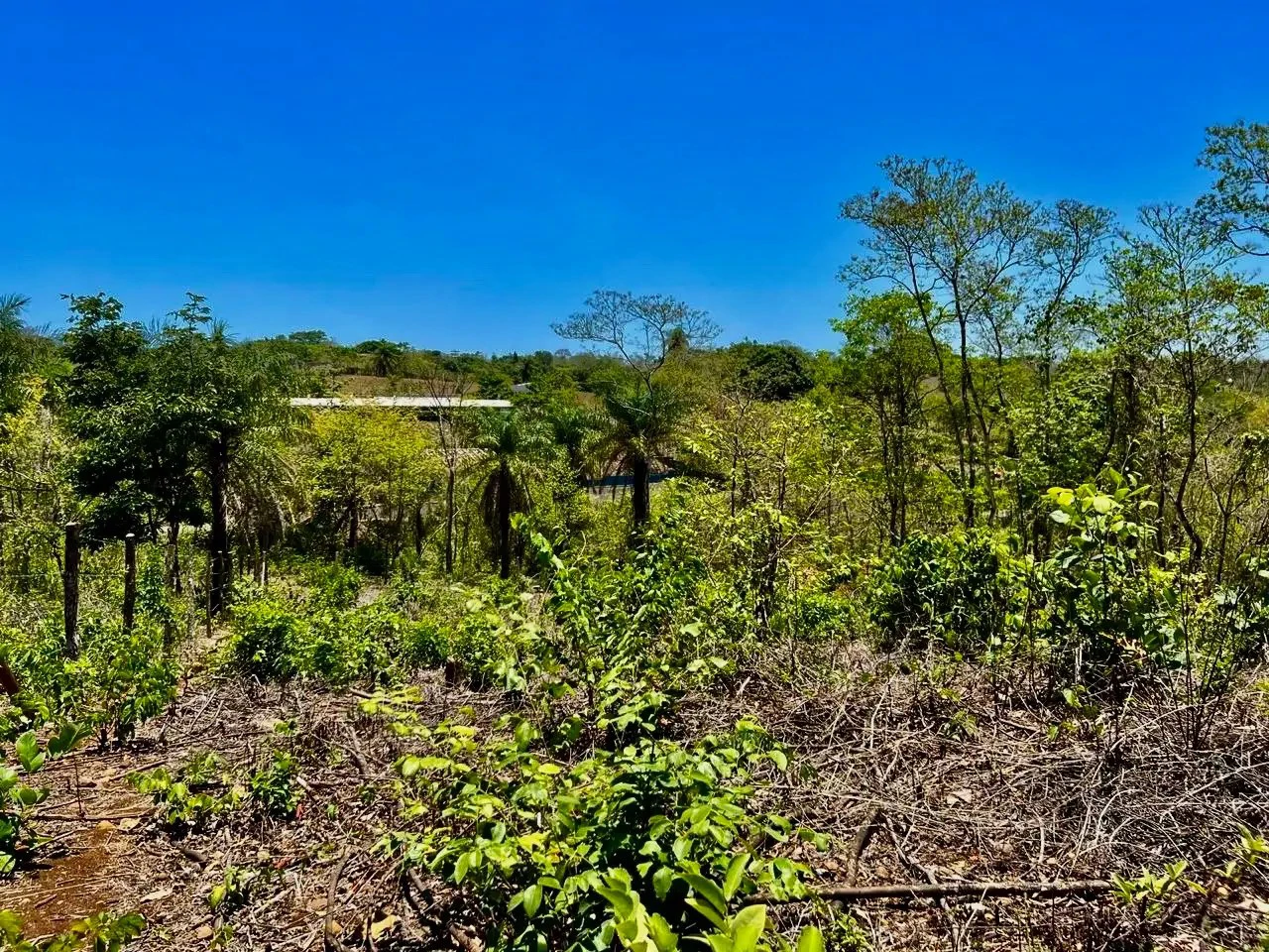 Prime Development Land Overlooking Carara Reserve & Tárcoles River | 2 Hectares - Gallery image 4