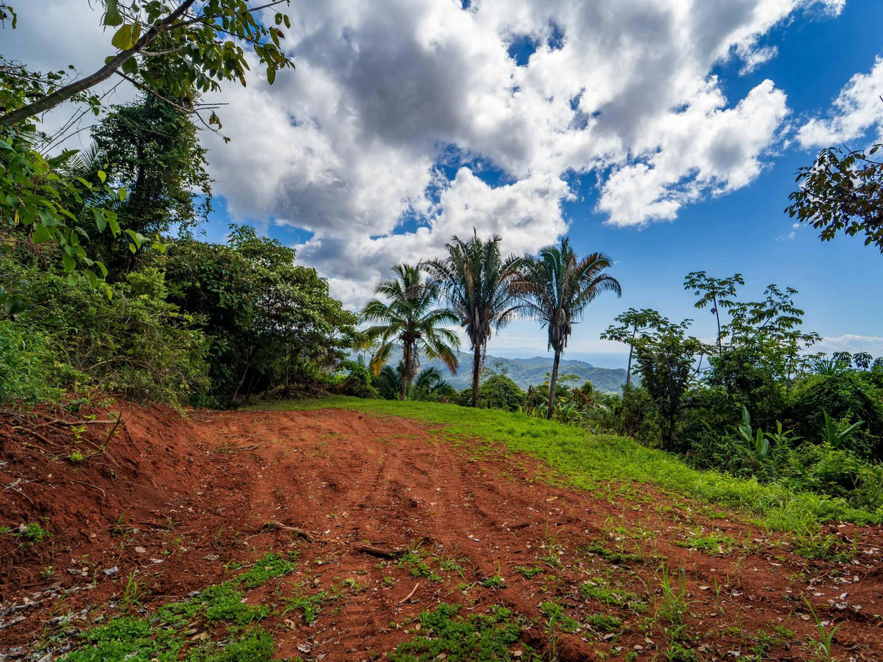 Lote Tres Palmas: Stunning Ocean View lot with 2 Platforms - Gallery image 4