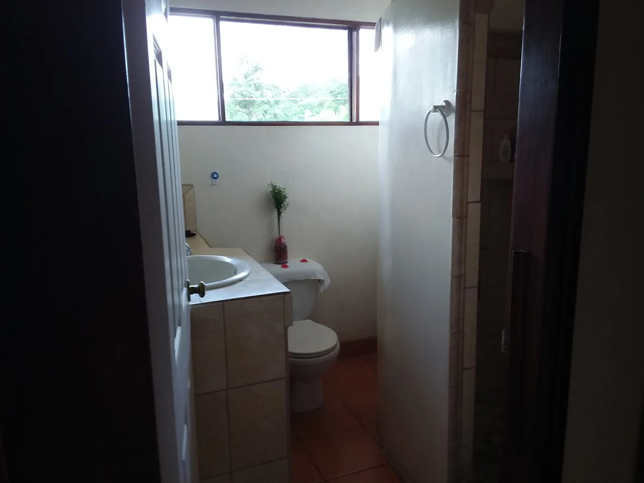 Beach Boutique Hotel for sale, Turn Key business opportunity in an established community in Playa Carrillo, Guanacaste - Gallery image 16