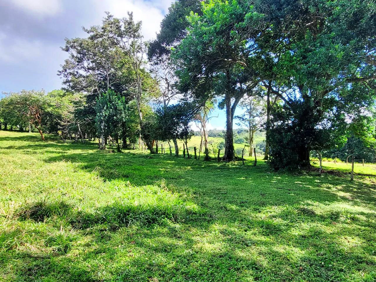 LA CABAÑA - COUNTRY ESTATE WITH HUGE POTENTIAL - Gallery image 26